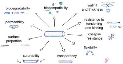 Natural-Based Biomaterials for Peripheral Nerve Injury Repair